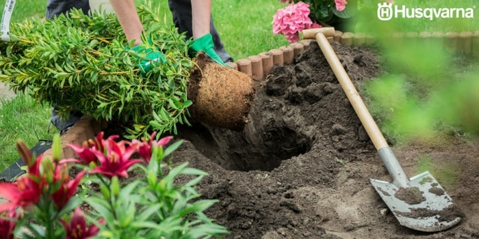 cavar-hoyo-jardín