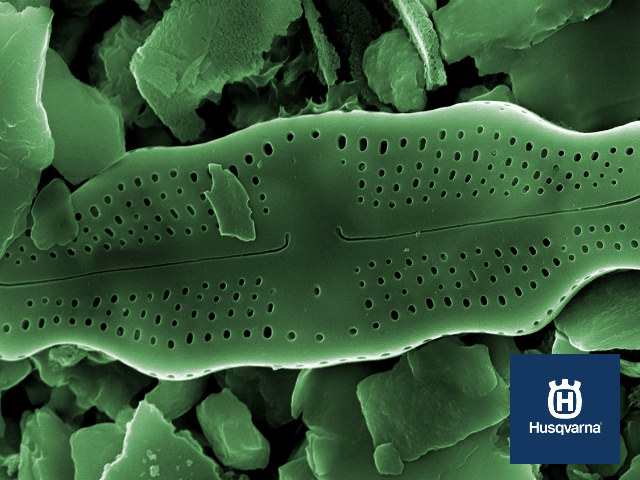 Tierra de diatomeas: fertilizante, biocida y mucho más