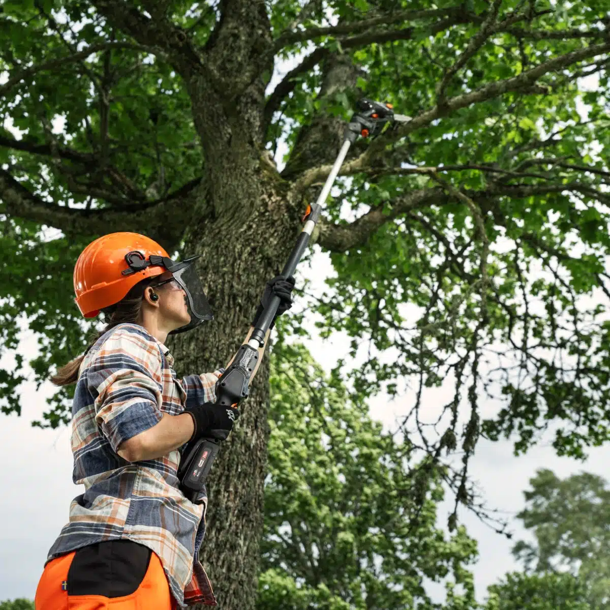 Podadora Aspire™ P8X-P4A + Pértiga Aspire™