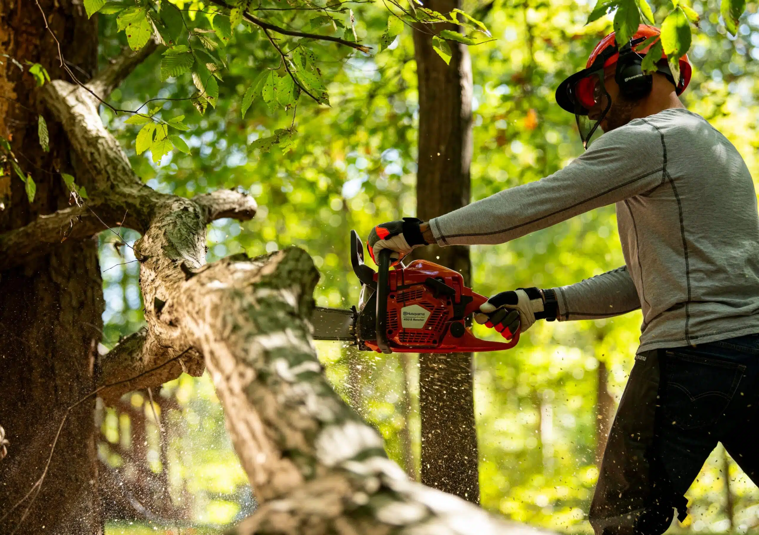 Motosierra de gasolina Husqvarna cortando una rama gruesa en el bosque