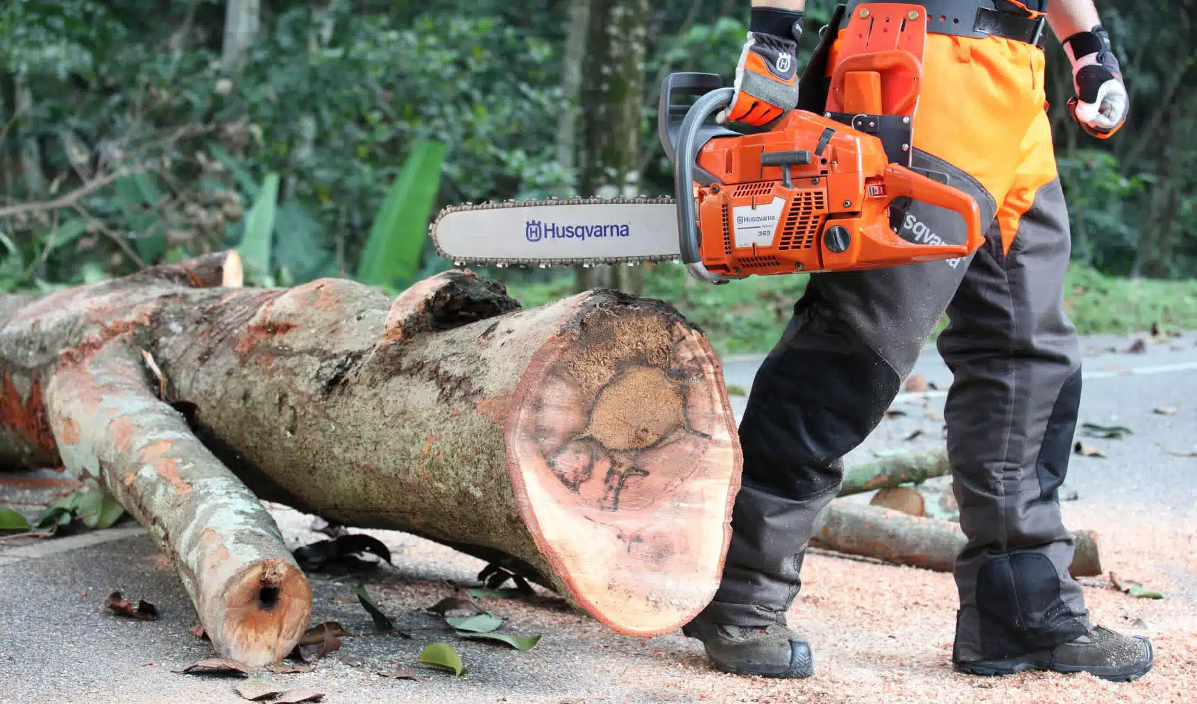 Profesional con equipo de protección sosteniendo una motosierra Husqvarna al lado de un árbol talado