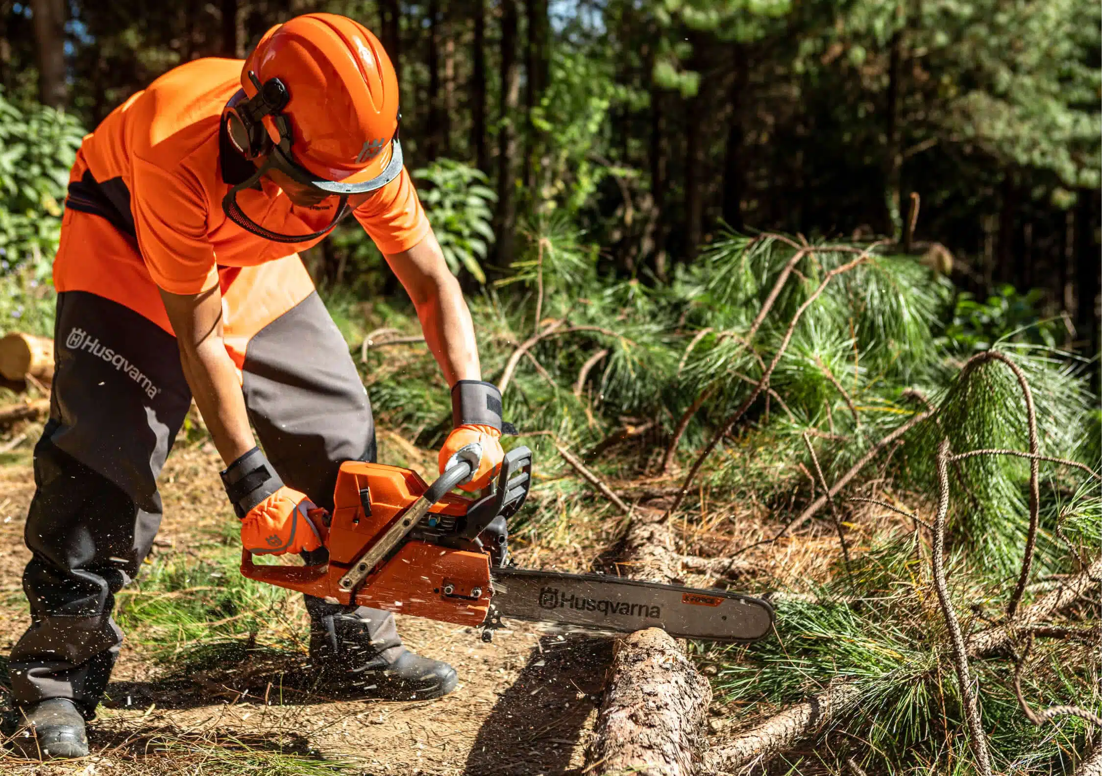 Hombre equipado con protección talando un árbol con una motosierra de Husqvarna
