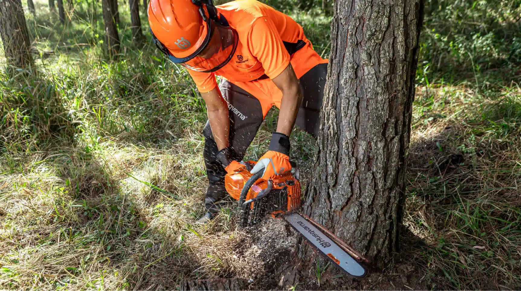 Hombre equipado con casco y guantes de protección talando un árbol con una motosierra Husqvarna