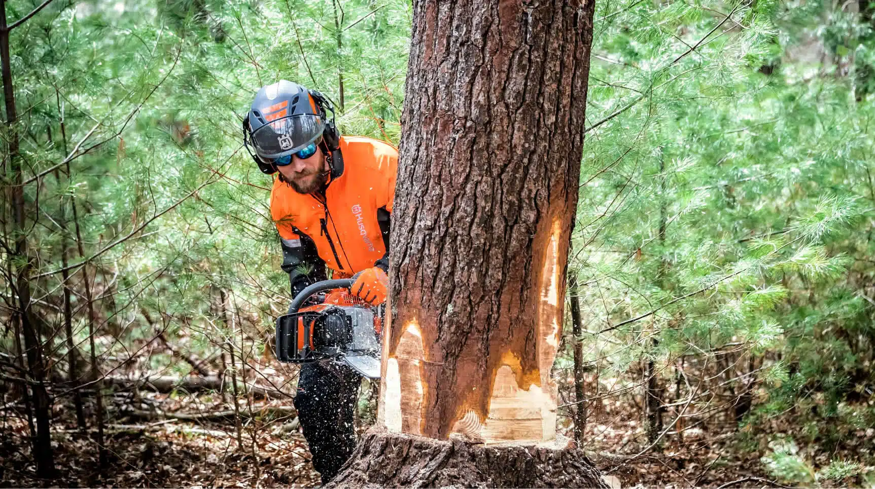 Hombre talando un árbol con una motosierra