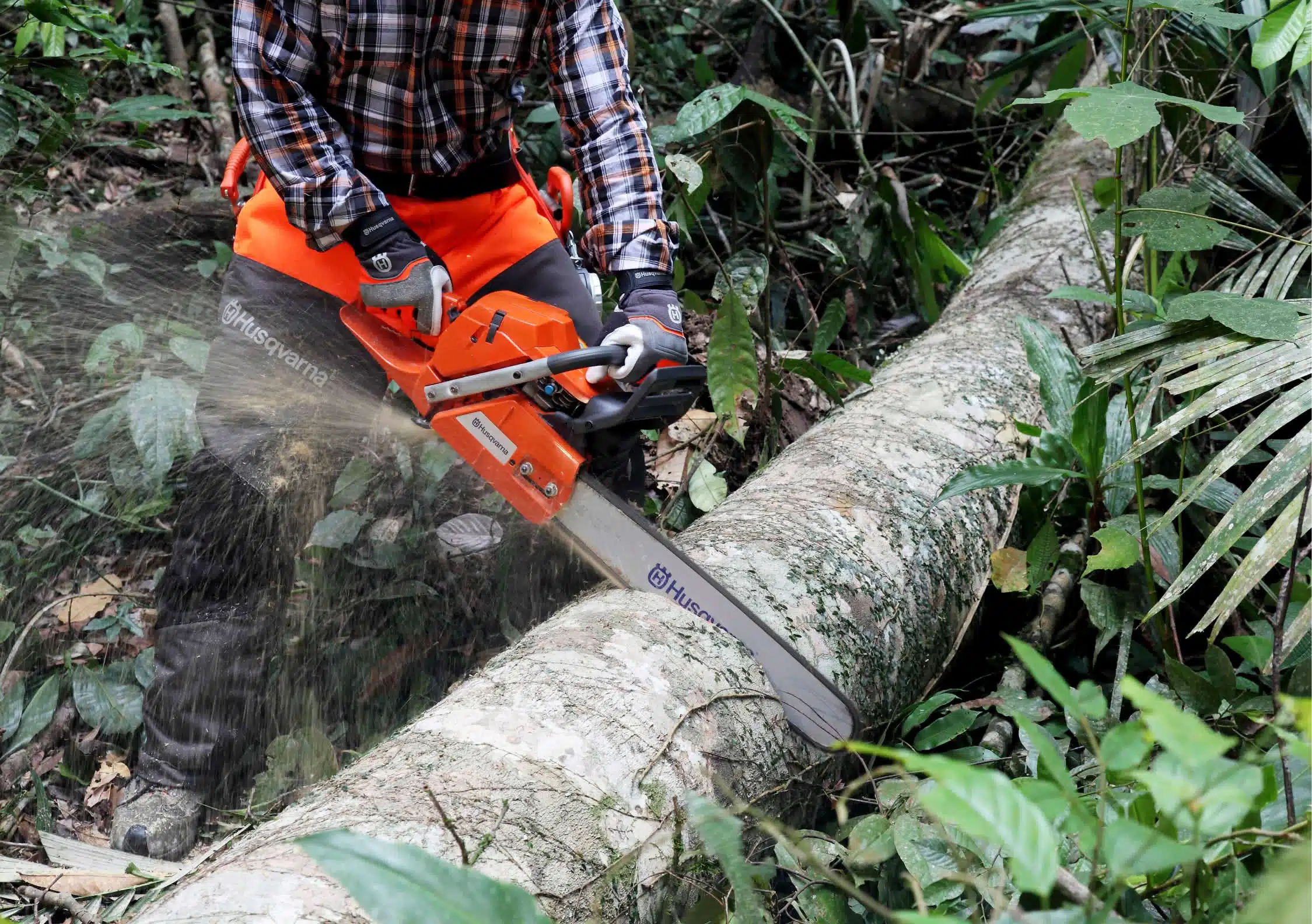 Persona cortando el tronco de un árbol caído con una motosierra Husqvarna