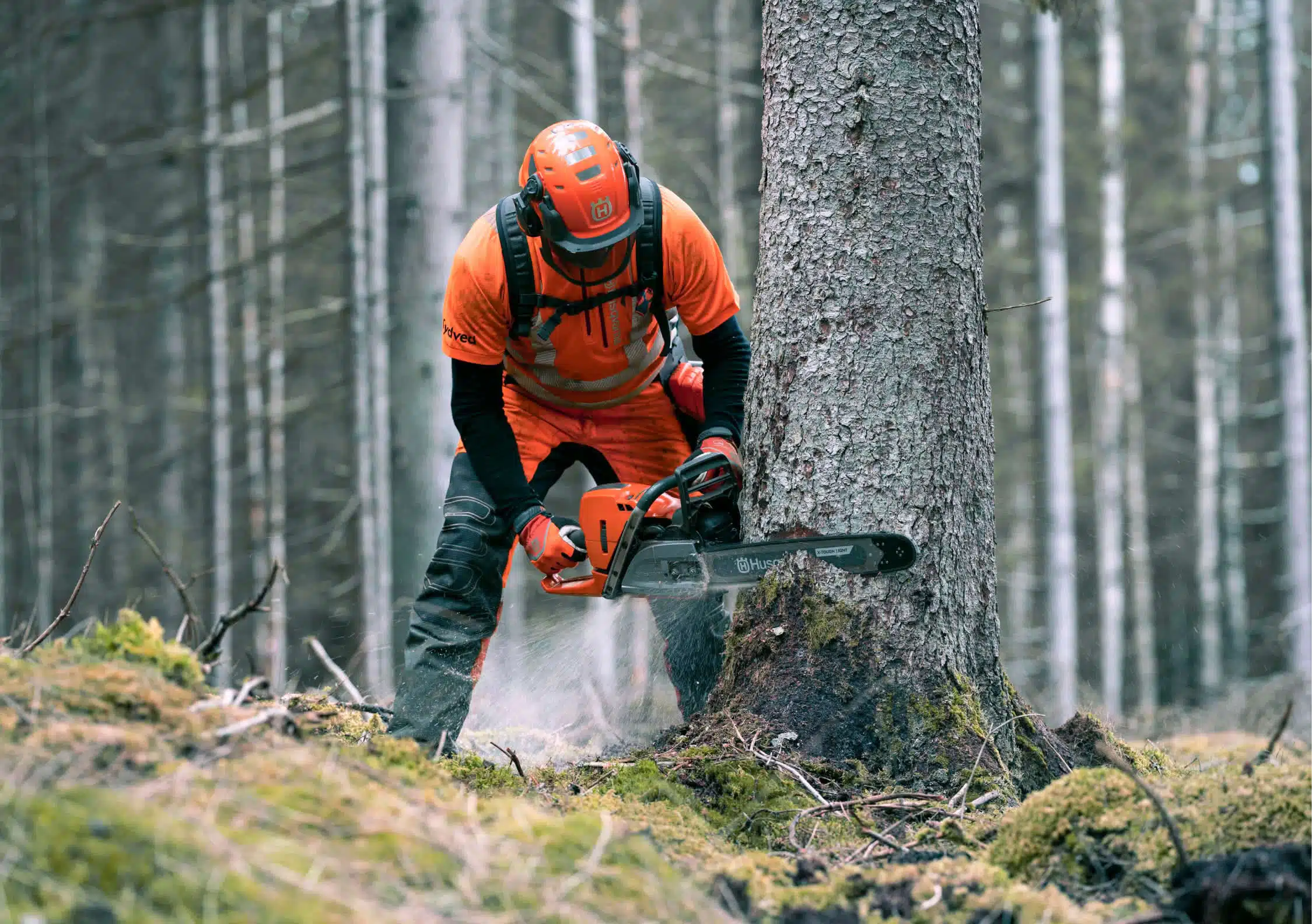 Persona con vestimenta de trabajo forestal talando un árbol con una motosierra
